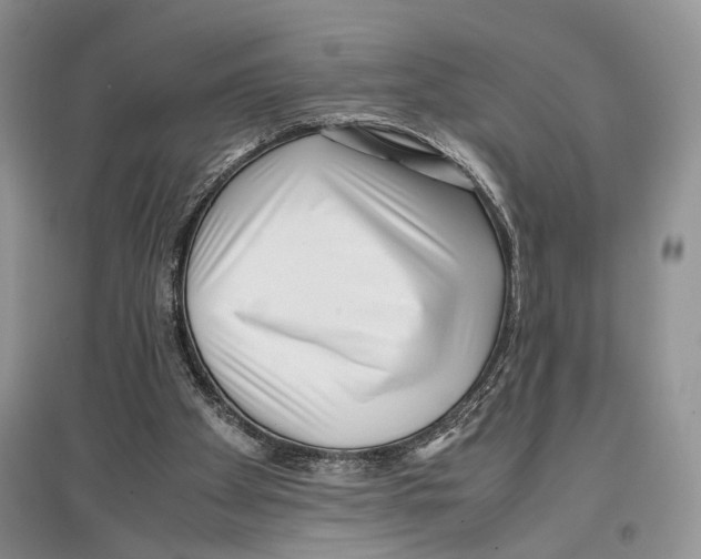X0000097300105200803141541