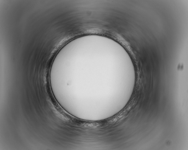 X0000097300106200803141541