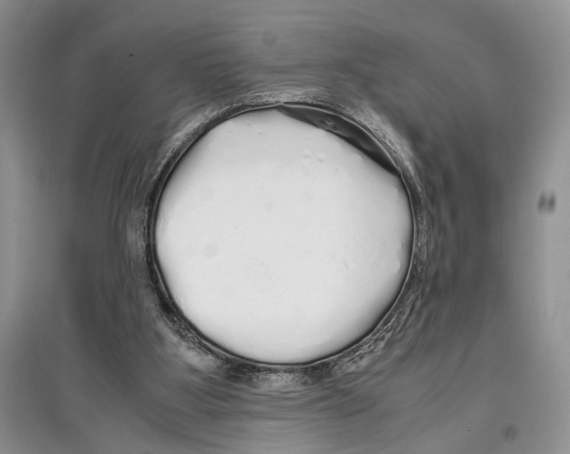 X0000097300107200803141541