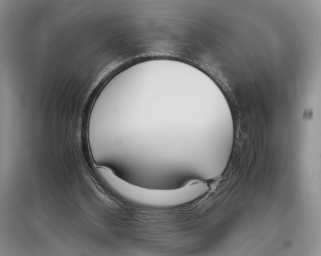 X0000097300108200803141541