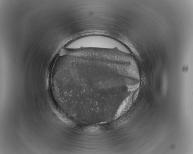 X0000097300110200803141541