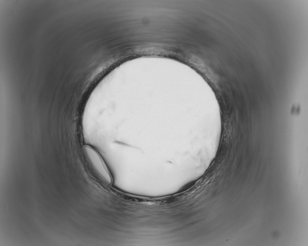 X0000097300111200803141541