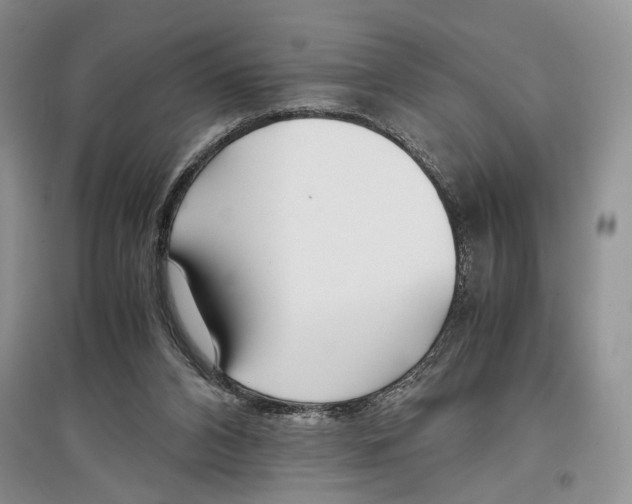X0000097300112200803141541