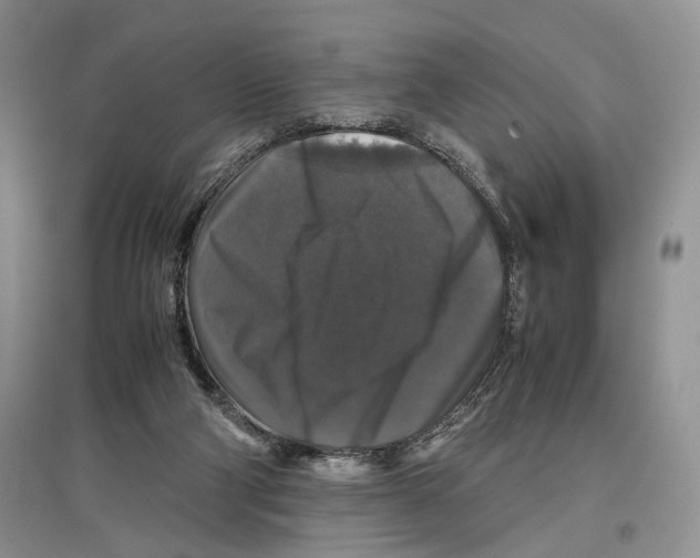 X0000097300114200803141541