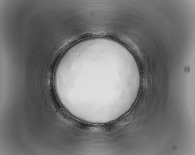 X0000097300115200803141541