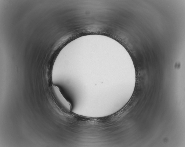 X0000097300116200803141541
