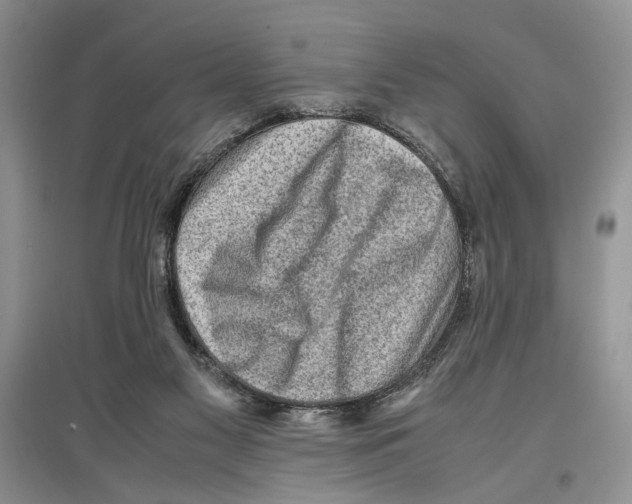 X0000097300117200803141541