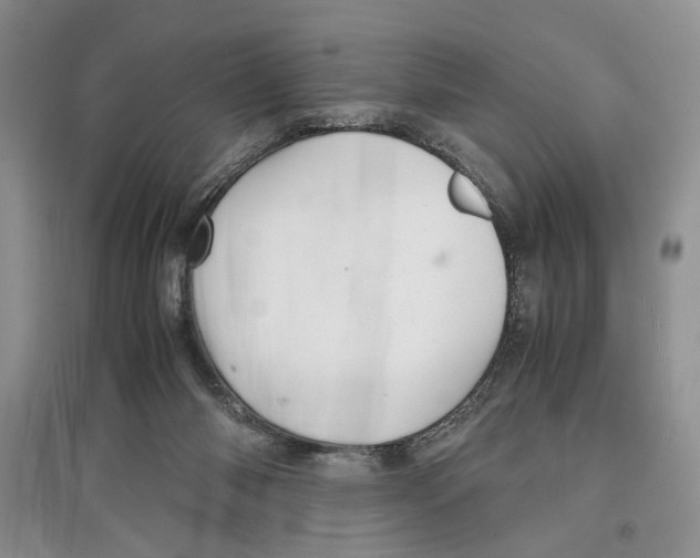 X0000097300118200803141541