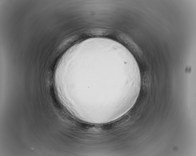 X0000097300119200803141541