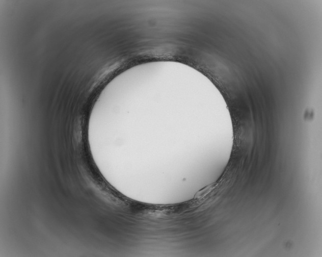 X0000097300120200803141541