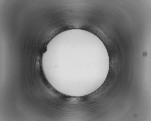 X0000097300122200803141541