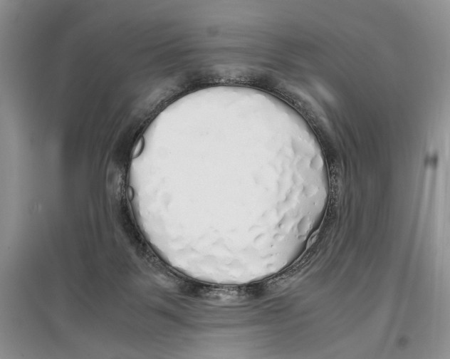 X0000097300123200803141541