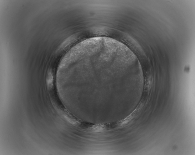 X0000097300124200803141541