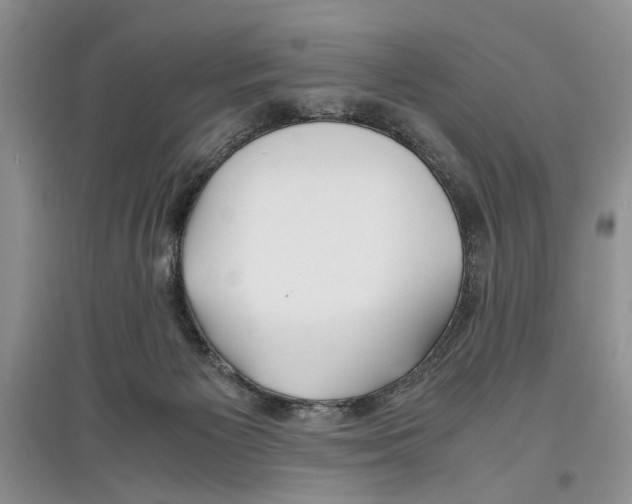 X0000097300125200803141541