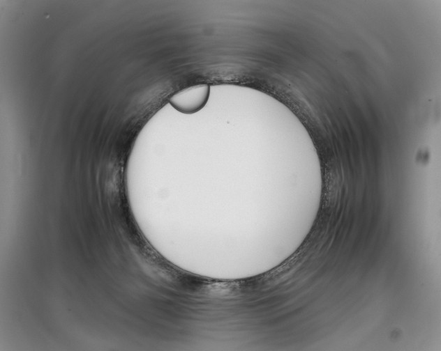 X0000097300126200803141541