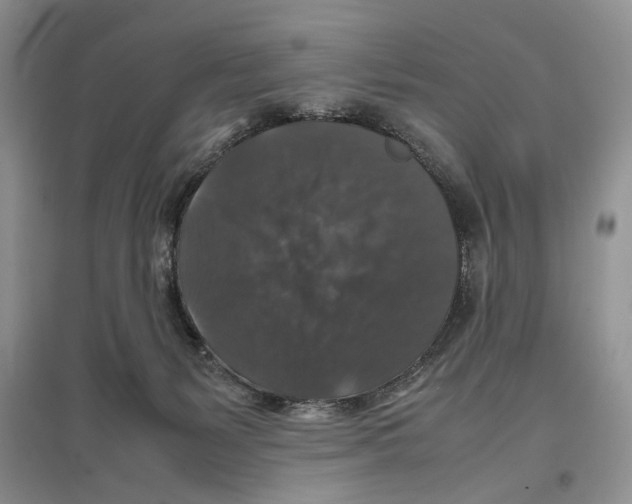 X0000097300127200803141541