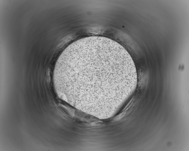 X0000097300128200803141541