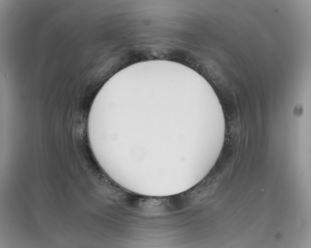 X0000097300129200803141541