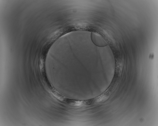 X0000097300130200803141541