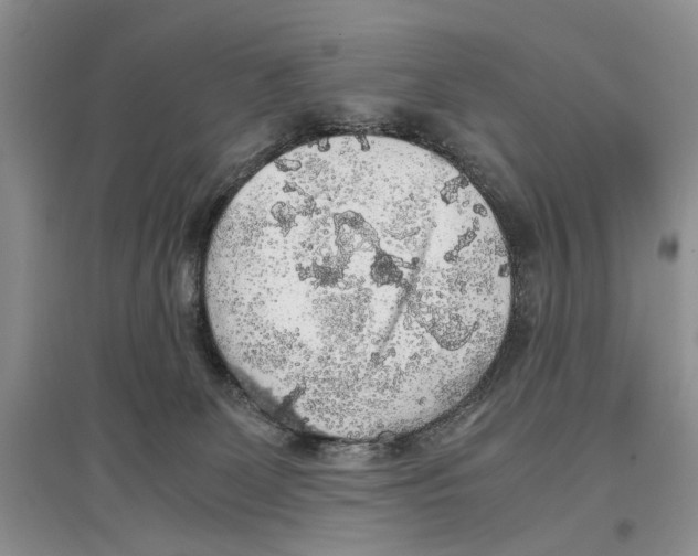 X0000097300131200803141541