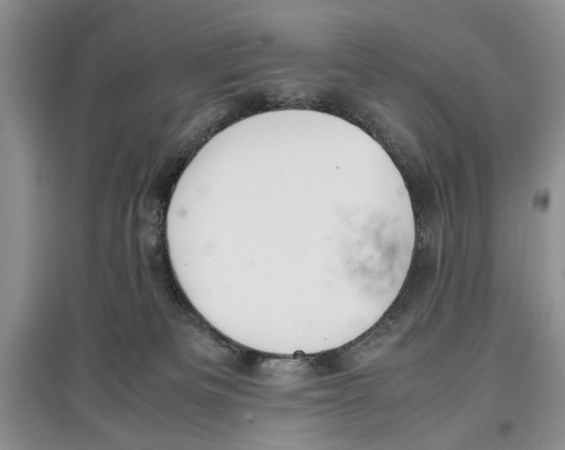 X0000097300133200803141541
