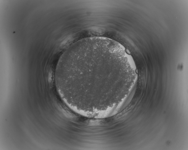 X0000097300134200803141541