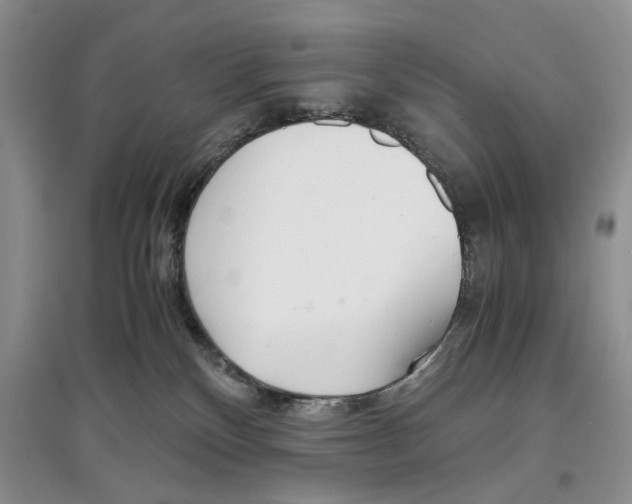 X0000097300136200803141541