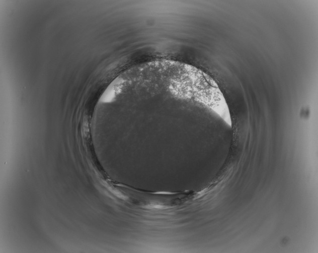 X0000097300137200803141541
