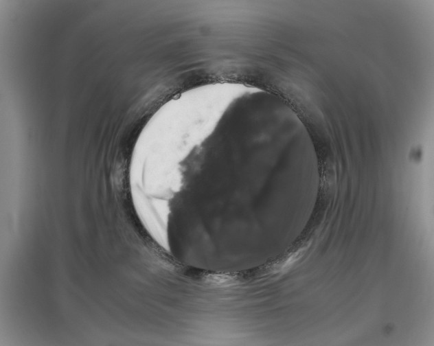 X0000097300139200803141541