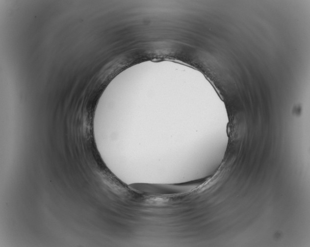 X0000097300140200803141541