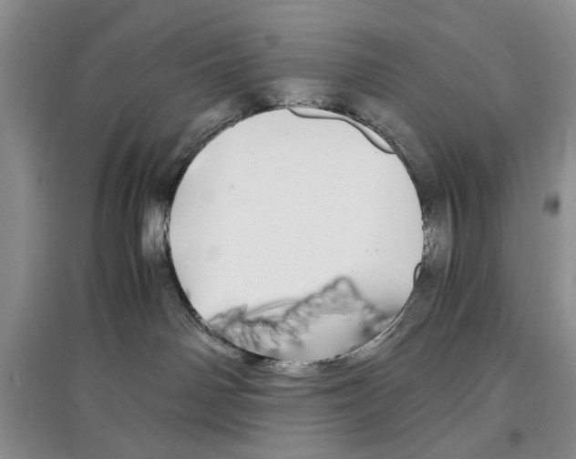 X0000097300142200803141541