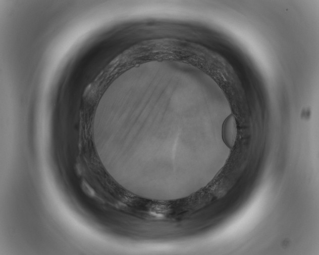 X0000097300143200803141540