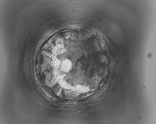 X0000097300145200803141540