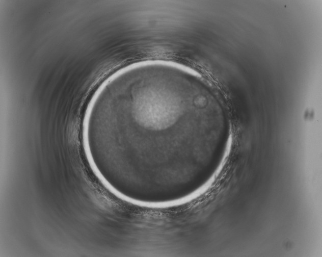 X0000097300146200803141540