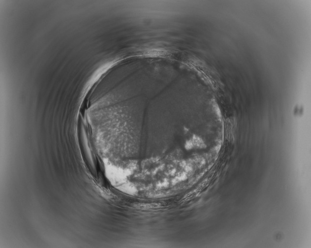 X0000097300147200803141540