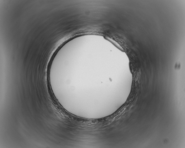 X0000097300148200803141540