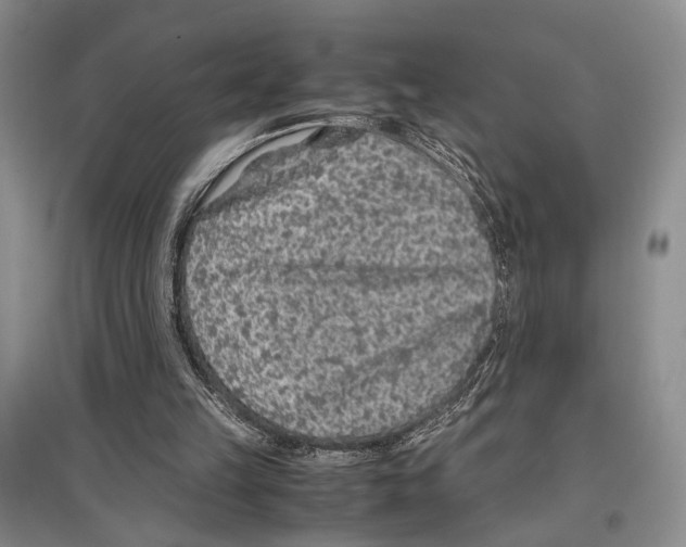 X0000097300149200803141540