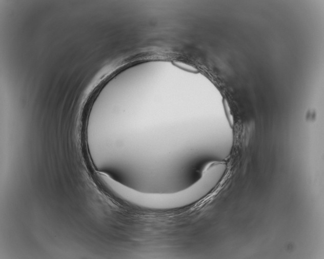 X0000097300150200803141540