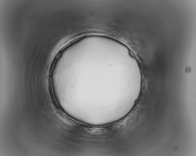 X0000097300151200803141540