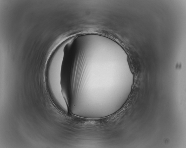 X0000097300152200803141540