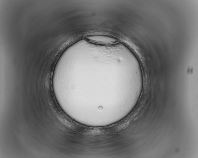 X0000097300153200803141540
