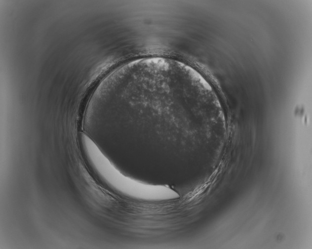 X0000097300154200803141540