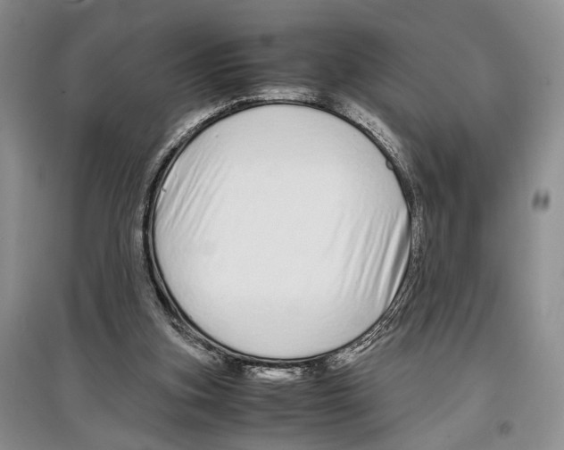 X0000097300155200803141540