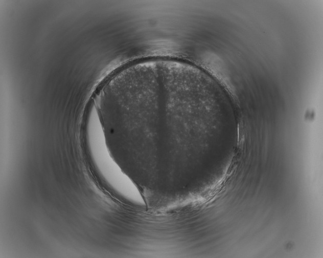 X0000097300156200803141540