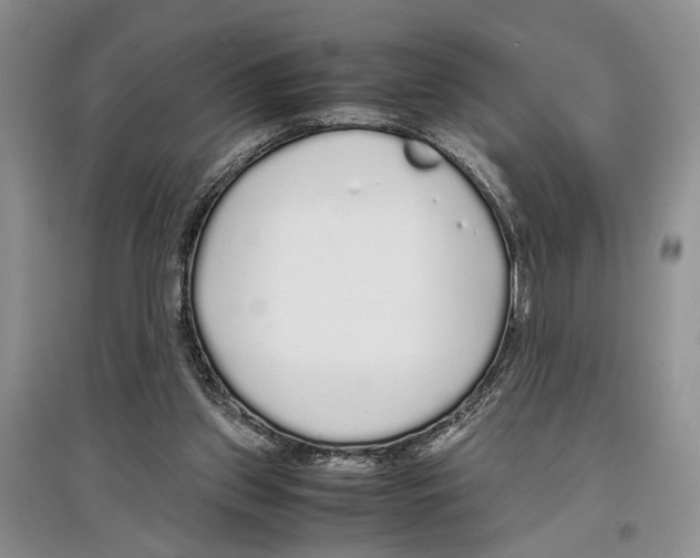 X0000097300157200803141540