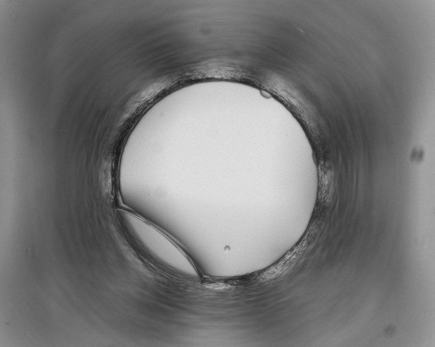 X0000097300158200803141540
