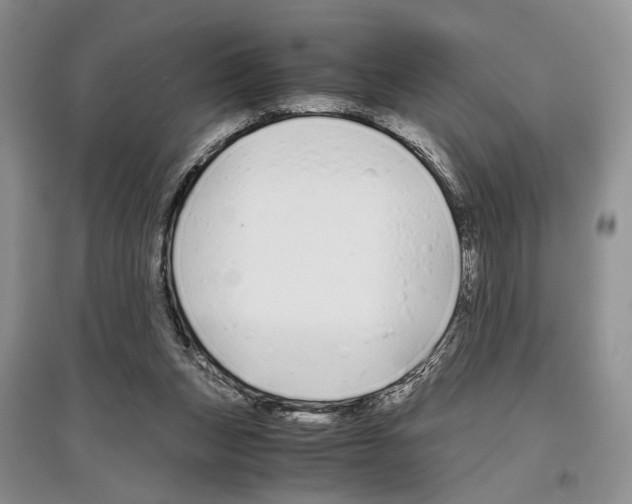 X0000097300159200803141540