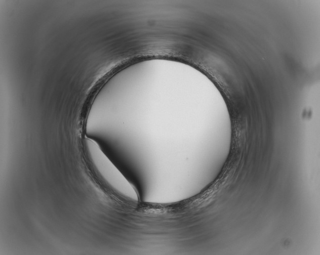 X0000097300160200803141540