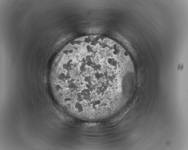 X0000097300161200803141540