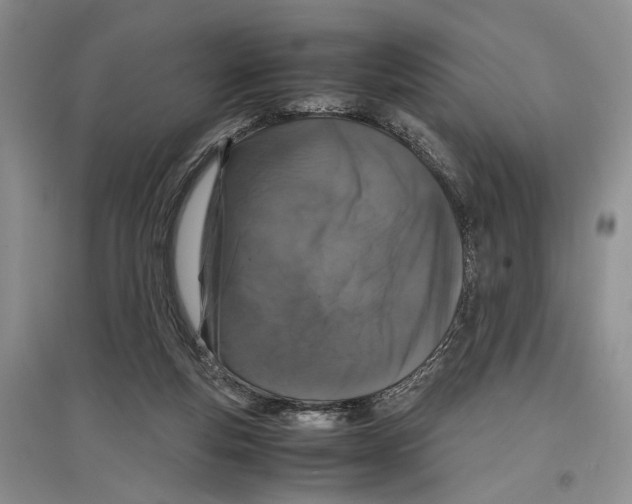 X0000097300163200803141540